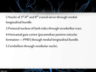 2.Nucleiof 3rd,4th and 8th cranial nerve-through medial
longitudinalbundle.
3.Pretectalnucleusof both sides through tectobulbar tract.
4.Horizantal gaze centre(paramedian pontine reticular
formation—PPRF)through medial longitudinalbundle.
5.Cerebellum through vestibular nuclei.
 