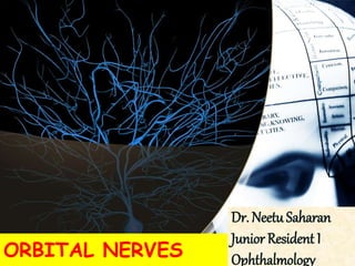 ORBITAL NERVES
Dr. Neetu Saharan
Junior Resident I
Ophthalmology
 