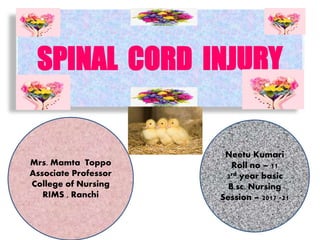 SPINAL CORD INJURY
Mrs. Mamta Toppo
Associate Professor
College of Nursing
RIMS , Ranchi
Neetu Kumari
Roll no – 11
3rd year basic
B.sc. Nursing
Session – 2017 -21
 
