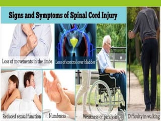 spinal cord injury ppt | PPTX