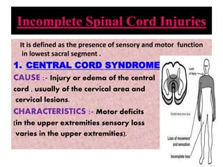spinal cord injury ppt | PPTX