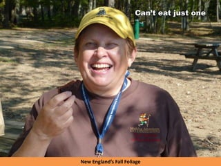 New England’s Fall Foliage
Can’t eat just one
 