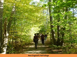 New England’s Fall Foliage
 