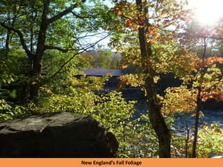 New England’s Fall Foliage
 