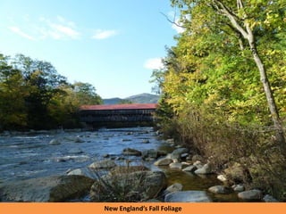 New England’s Fall Foliage
 