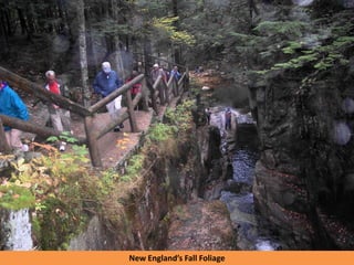 New England’s Fall Foliage
 
