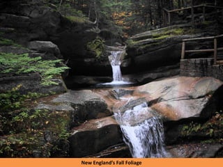 New England’s Fall Foliage
 