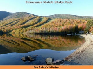 New England’s Fall Foliage
 