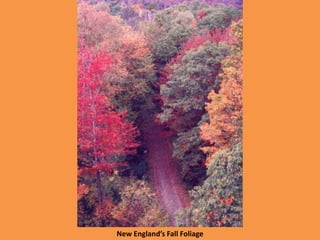 New England’s Fall Foliage
 