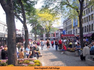 New England’s Fall Foliage
 