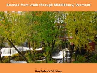 Scenes from walk through Middlebury, Vermont
New England’s Fall Foliage
 
