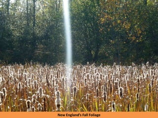New England’s Fall Foliage
 