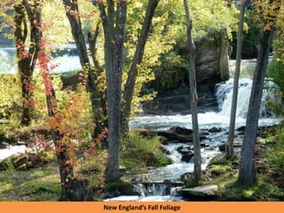 New England’s Fall Foliage
 