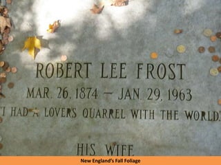 New England’s Fall Foliage
 