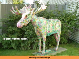 New England’s Fall Foliage
Bennington Walk
 