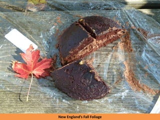 New England’s Fall Foliage
 