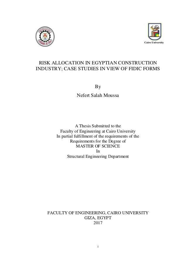 Risk allocation thesis 06 image