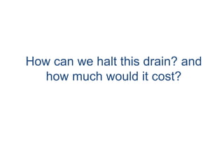 How can we halt this drain? and
   how much would it cost?
 