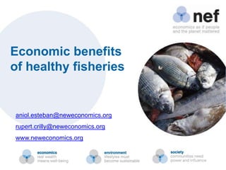 Economic benefits
of healthy fisheries


aniol.esteban@neweconomics.org
rupert.crilly@neweconomics.org
www.neweconomics.org
 