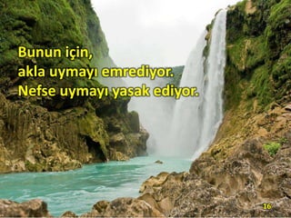 Bunun için,
akla uymayı emrediyor.
Nefse uymayı yasak ediyor.
16
 