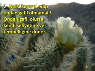 2- Nefsi kontrol edip
ondan gafil olmamalı!
Ondan gafil olursa,
kendi şehvetine ve
tembelliğine döner.
41
 