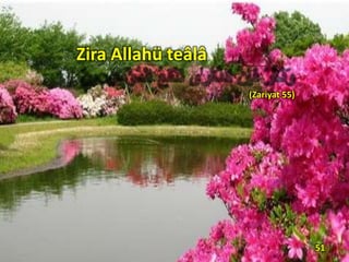 Zira Allahü teâlâ
(Zariyat 55)
51
 