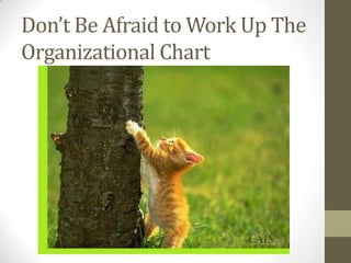 Don’t Be Afraid to Work Up The
Organizational Chart

 