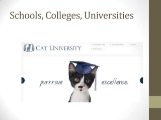 Schools, Colleges, Universities

 