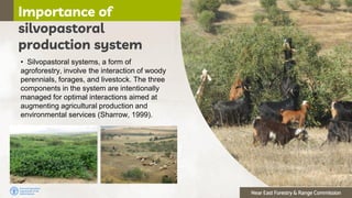 Near East Forestry & Range Commission
• Silvopastoral systems, a form of
agroforestry, involve the interaction of woody
pe...