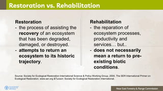 Near East Forestry & Range Commission
Restoration vs. Rehabilitation
Rehabilitation
- the reparation of
ecosystem processe...