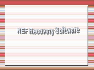 NEF Recovery Software 