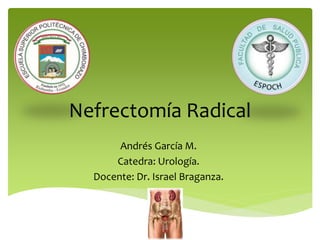 Nefrectomía Radical
Andrés García M.
Catedra: Urología.
Docente: Dr. Israel Braganza.
 