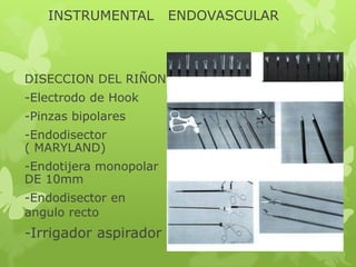 INSTRUMENTAL         ENDOVASCULAR



DISECCION DEL RIÑON:
-Electrodo de Hook
-Pinzas bipolares
-Endodisector
( MARYLAND)
-Endotijera monopolar
DE 10mm
-Endodisector en
angulo recto
-Irrigador aspirador
 
