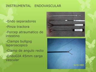 INSTRUMENTAL      ENDOVASCULAR



-Endo separadores
-Pinza tractora
-Forcep atraumatico de
intestino
-Clamps bullgog
laparoscopico
-Clamp de angulo recto
-EndoGIA 45mm carga
vascular
 