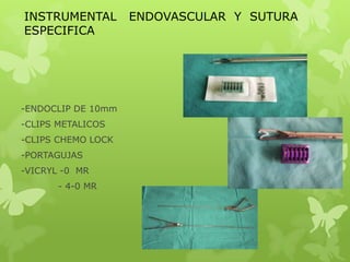INSTRUMENTAL        ENDOVASCULAR Y SUTURA
ESPECIFICA




-ENDOCLIP DE 10mm
-CLIPS METALICOS
-CLIPS CHEMO LOCK
-PORTAGUJAS
-VICRYL -0 MR
       - 4-0 MR
 