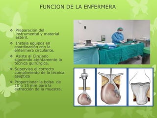 FUNCION DE LA ENFERMERA



 Preparación del
  instrumental y material
  estéril.
 Instala equipos en
  coordinación con la
  enfermera circulante.
 Asiste al Cirujano
  siguiendo atentamente la
  técnica quirúrgica.
 Supervisa el correcto
  cumplimiento de la técnica
  aséptica
 Proporcionar la bolsa de
  10 o 15 mm para la
  extracción de la muestra.
 