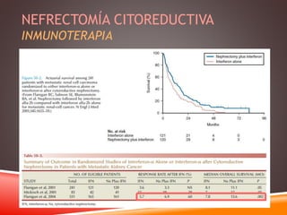 NEFRECTOMÍA CITOREDUCTIVA 
INMUNOTERAPIA 
 