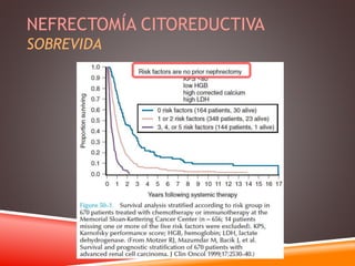NEFRECTOMÍA CITOREDUCTIVA 
SOBREVIDA 
 
