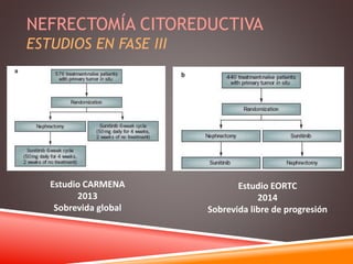 NEFRECTOMÍA CITOREDUCTIVA 
ESTUDIOS EN FASE III 
Estudio CARMENA 
2013 
Sobrevida global 
Estudio EORTC 
2014 
Sobrevida libre de progresión 
 