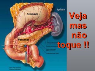 Veja  mas  não  toque !! 