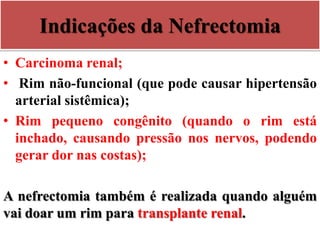 Indicações da Nefrectomia
• Carcinoma renal;
• Rim não-funcional (que pode causar hipertensão
arterial sistêmica);
• Rim pequeno congênito (quando o rim está
inchado, causando pressão nos nervos, podendo
gerar dor nas costas);
A nefrectomia também é realizada quando alguém
vai doar um rim para transplante renal.
 