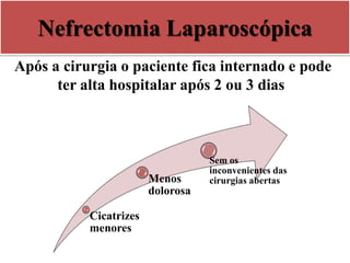 Nefrectomia Laparoscópica
Após a cirurgia o paciente fica internado e pode
ter alta hospitalar após 2 ou 3 dias
Cicatrizes
menores
Menos
dolorosa
Sem os
inconvenientes das
cirurgias abertas
 