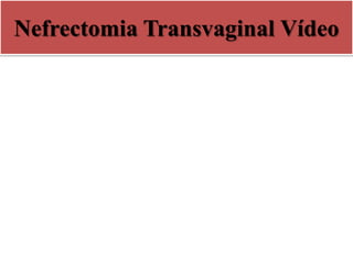 Nefrectomia Transvaginal Vídeo
 