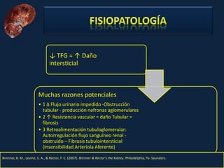 Nefritis Intersticial. Obed Rubio
