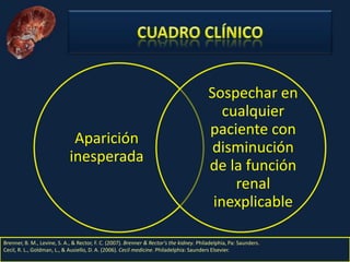 Nefritis Intersticial. Obed Rubio