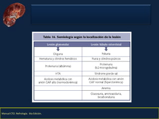 Nefritis Intersticial. Obed Rubio