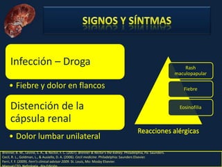 Nefritis Intersticial. Obed Rubio