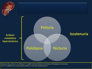 Nefritis Intersticial. Obed Rubio