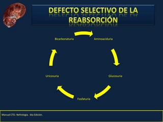 Nefritis Intersticial. Obed Rubio