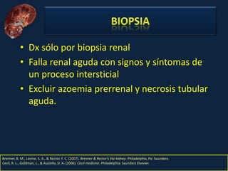 Nefritis Intersticial. Obed Rubio